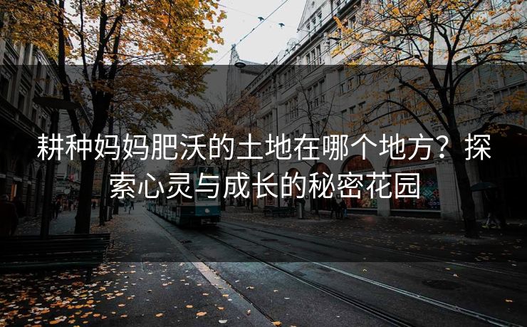 耕种妈妈肥沃的土地在哪个地方？探索心灵与成长的秘密花园