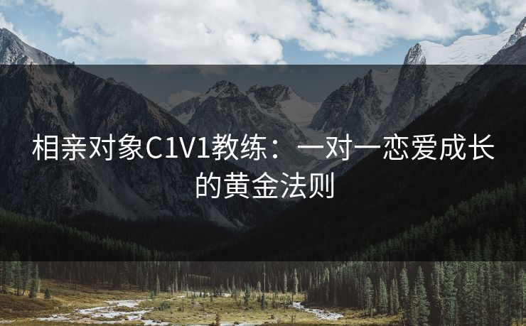 相亲对象C1V1教练：一对一恋爱成长的黄金法则
